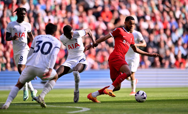 了自己的能 了自己的能